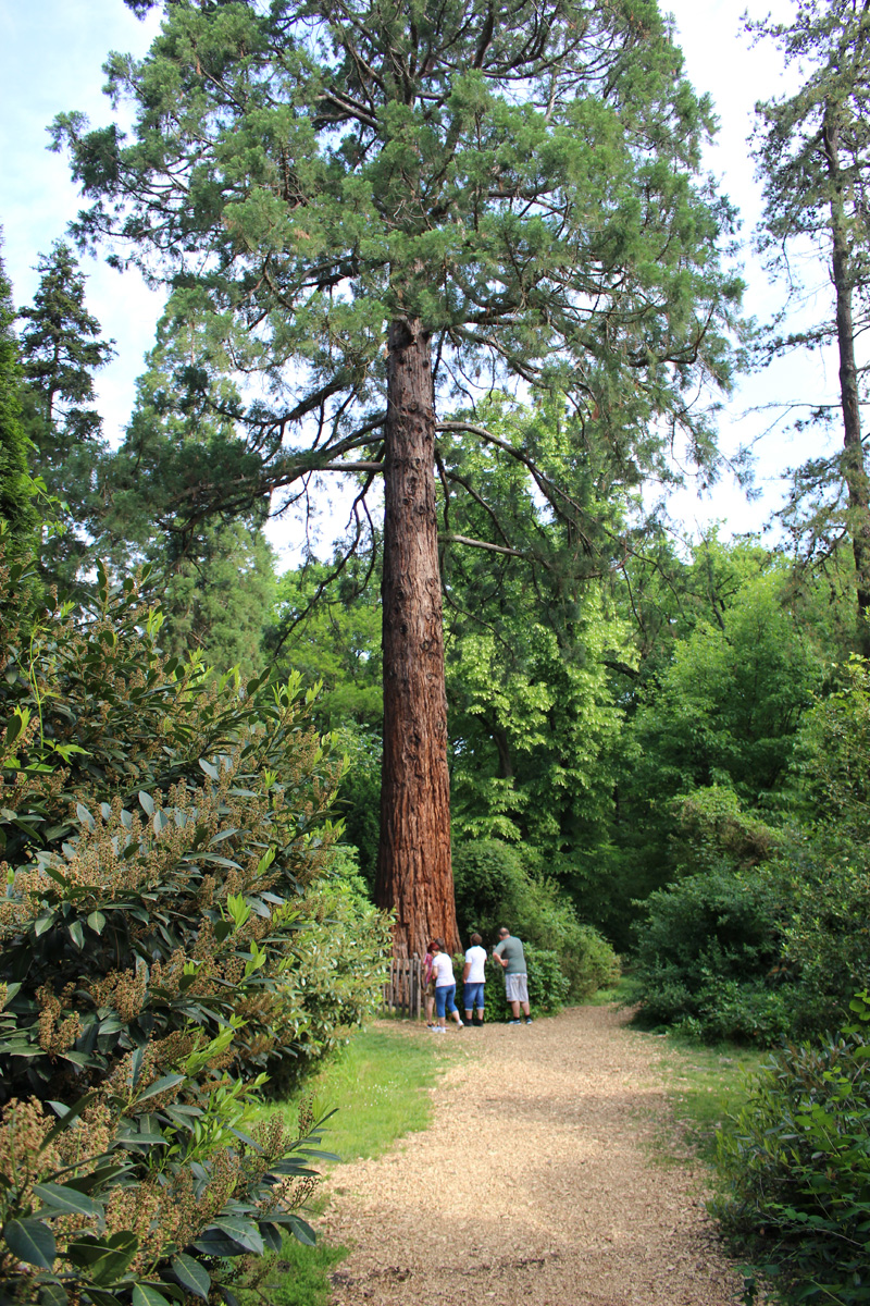 Szarvasi arborétum hajókázással a Körösön, Kecskemét városlátogatás